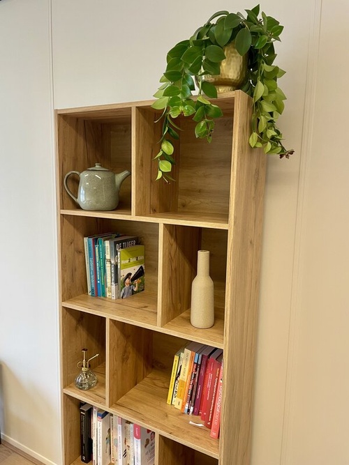 Psychologist in Dronten