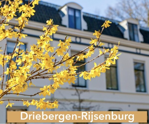Psychosocial therapist in Driebergen-Rijsenburg Psychosocial therapist in Driebergen-Rijsenburg