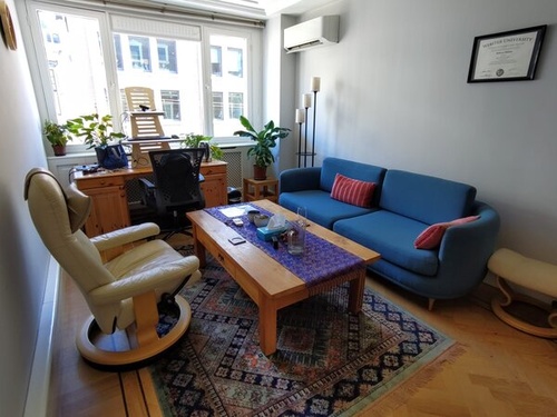 Expat/​ International Psychologist (NIP) in The Hague
